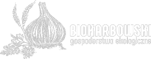 Gospodarstwo ekologiczne BioKarbowski | Czarny czosnek